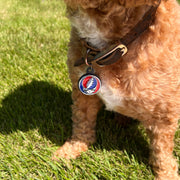 The Stealie 2.0 Pet Badge - Front