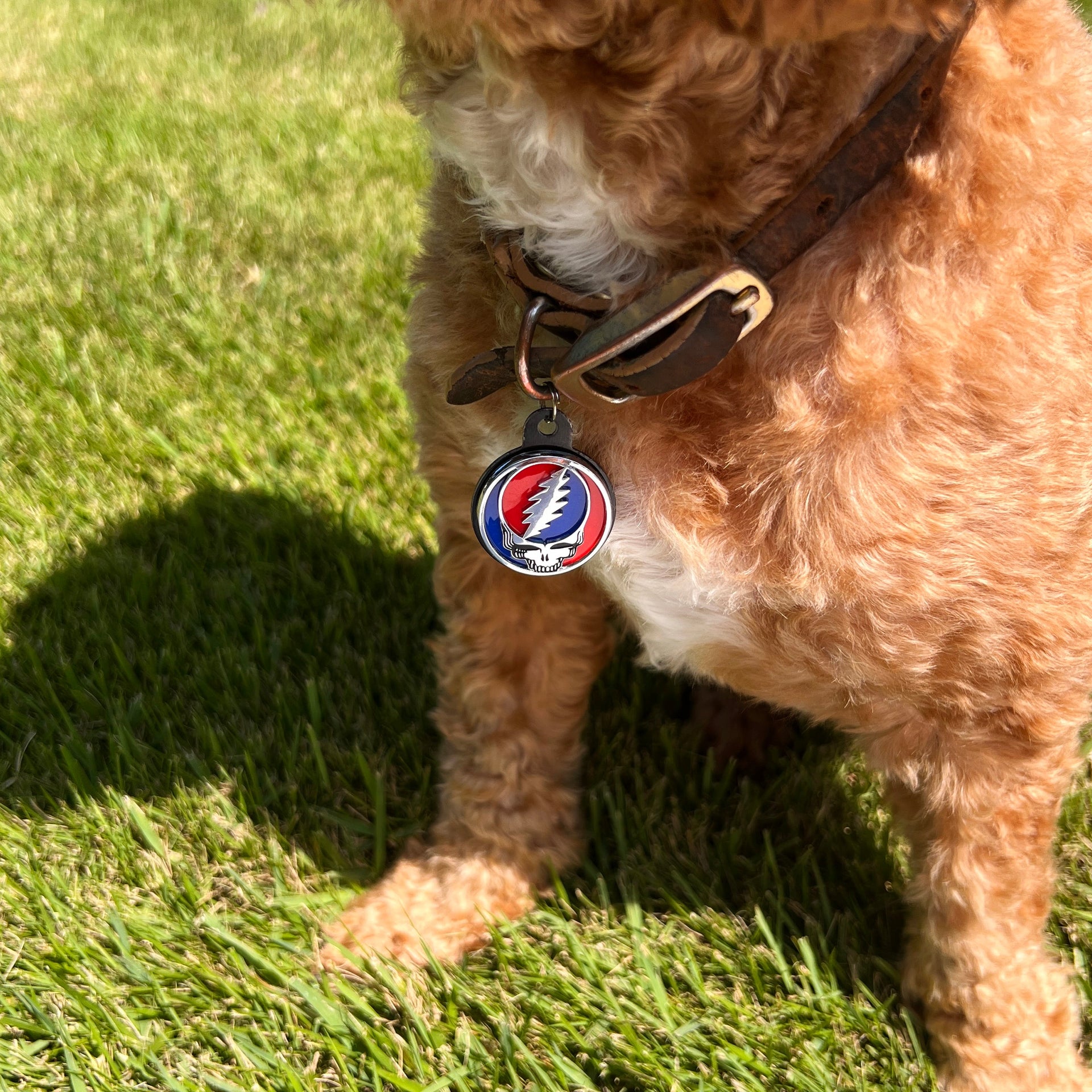 The Stealie 2.0 Pet Badge - Front