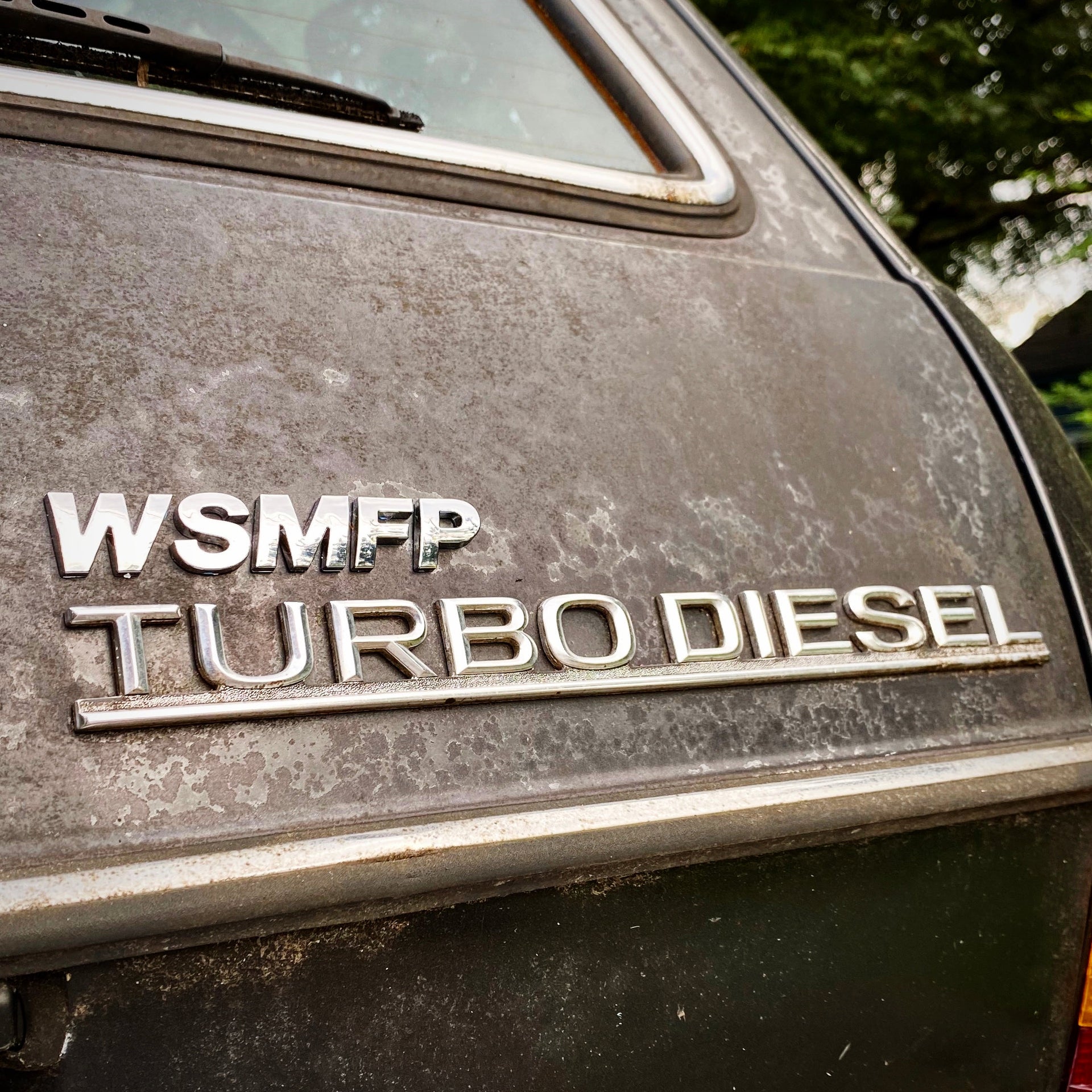 The WSMFP Badge