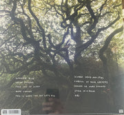 This Is The Kit – Careful Of Your Keepers (LP Vinyl)