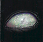 Tool – Aenima (CD)