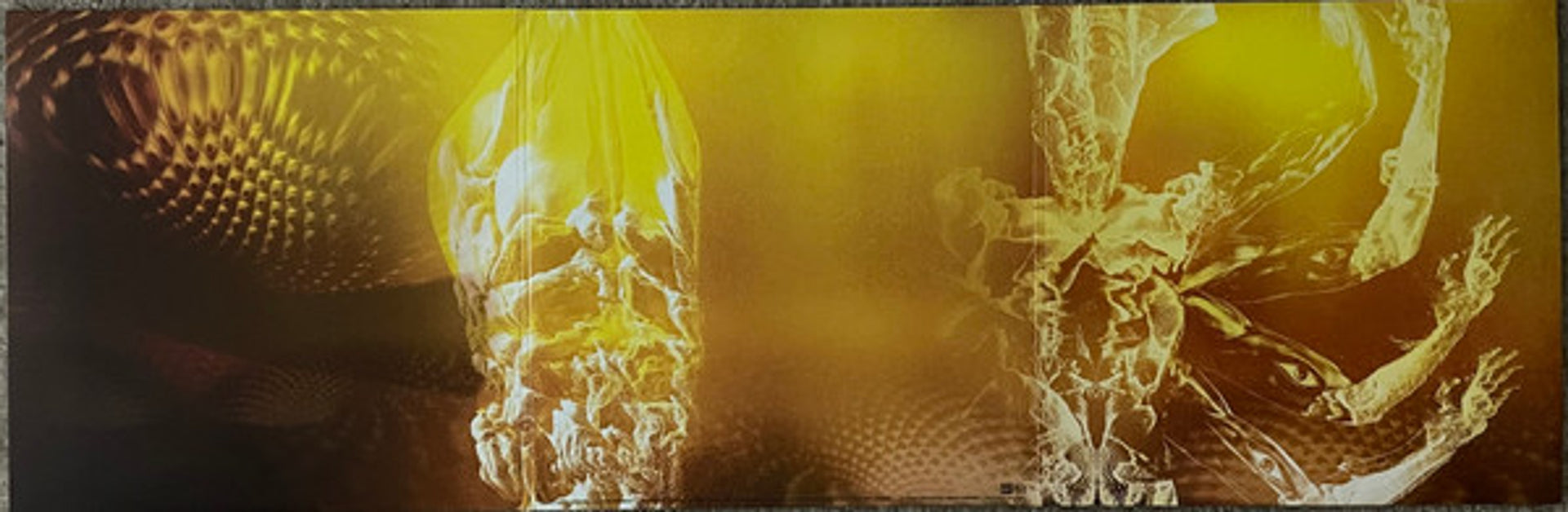 Tool – Fear Inoculum (3-LP Vinyl)