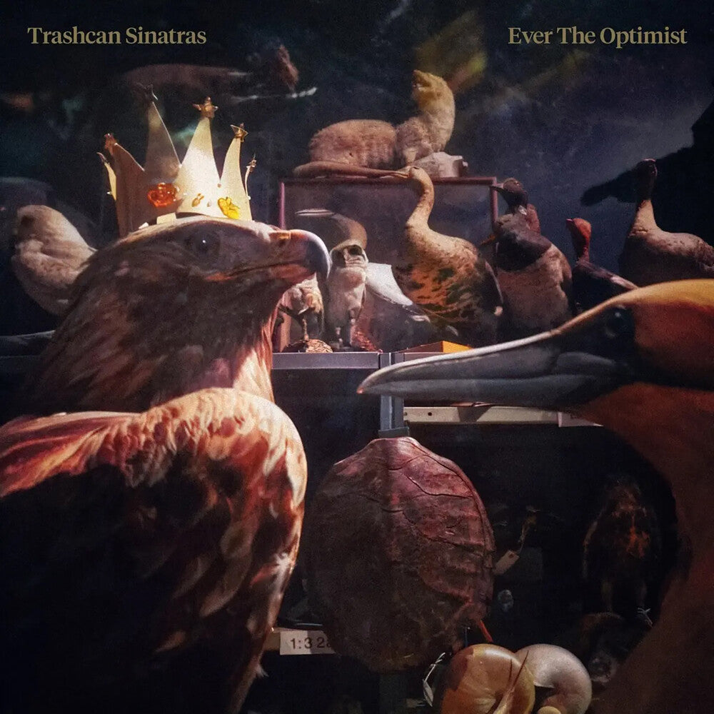 Trashcan Sinatras – Ever The Optimist (Uk LP Vinyl)
