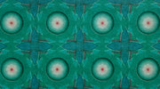 Trey Anastasio – Paper Wheels (Limited Edition 2-LP Vinyl Box Set) - Additional View