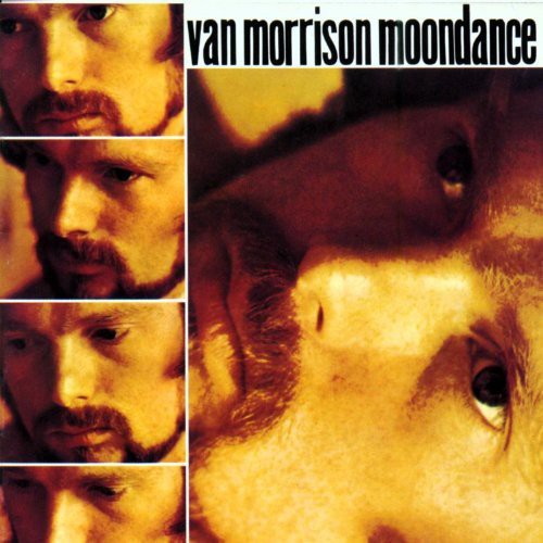 Van Morrison – Moondance (CD) - Back