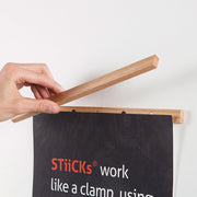 Vinyl Record Magnetic Framing