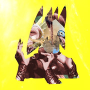 Wassermann, Ute – chimeric (LP Vinyl)