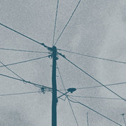 Werner Dafeldecker / Eliad Wagner – Fray Field (CD)
