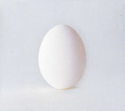 Wilco – A Ghost Is Born (CD) - Back