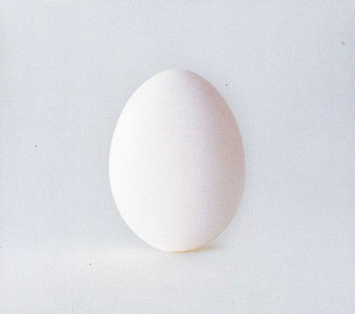 Wilco – A Ghost Is Born (CD) - Back