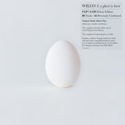 Wilco – A Ghost Is Born (Deluxe Edition) - (9LP/4CD BOX SET)