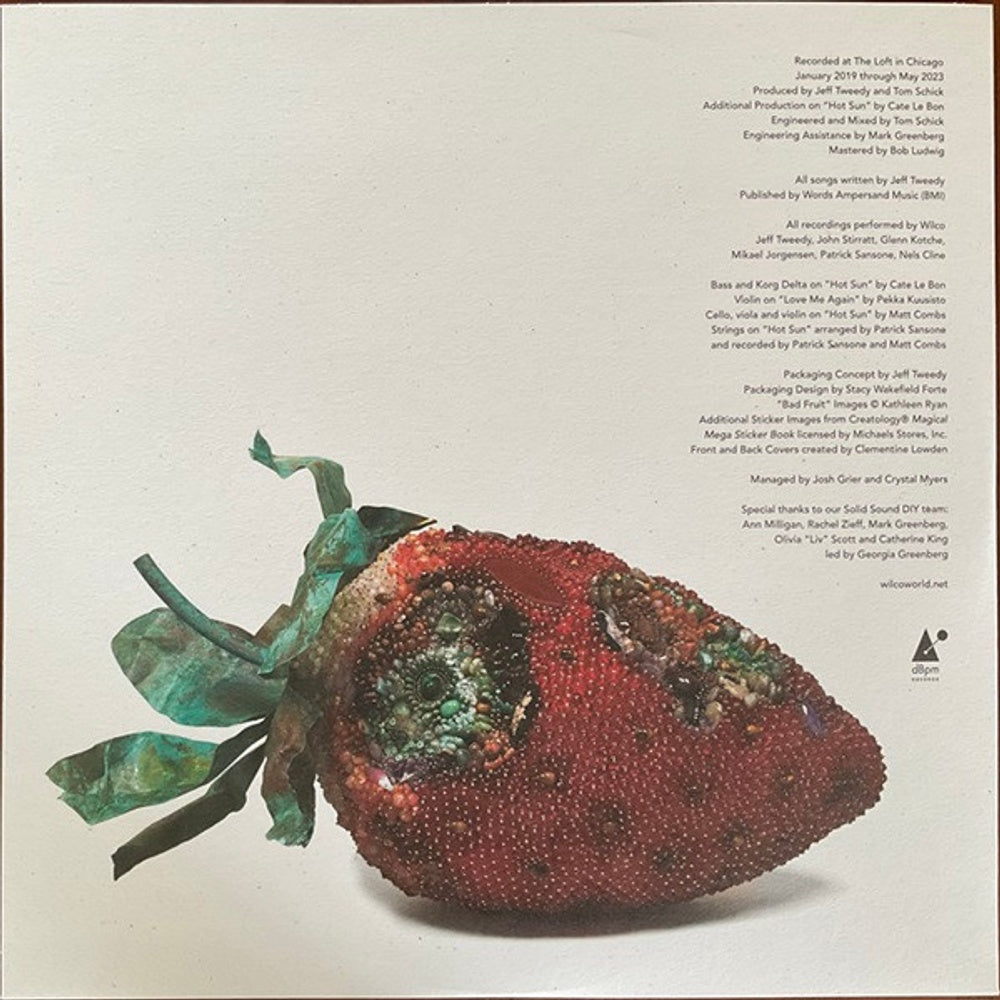Wilco – Hot Sun Cool Shroud (LP Vinyl)