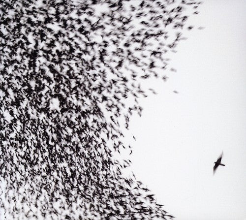 Wilco – Sky Blue Sky (CD) - Back