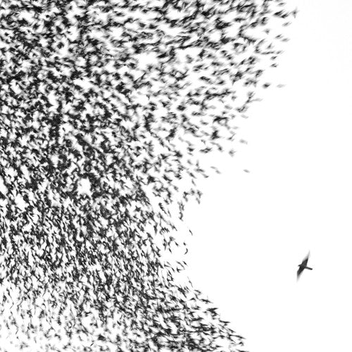 Wilco – Sky Blue Sky (LP Vinyl)