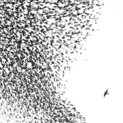 Wilco – Sky Blue Sky (LP Vinyl)