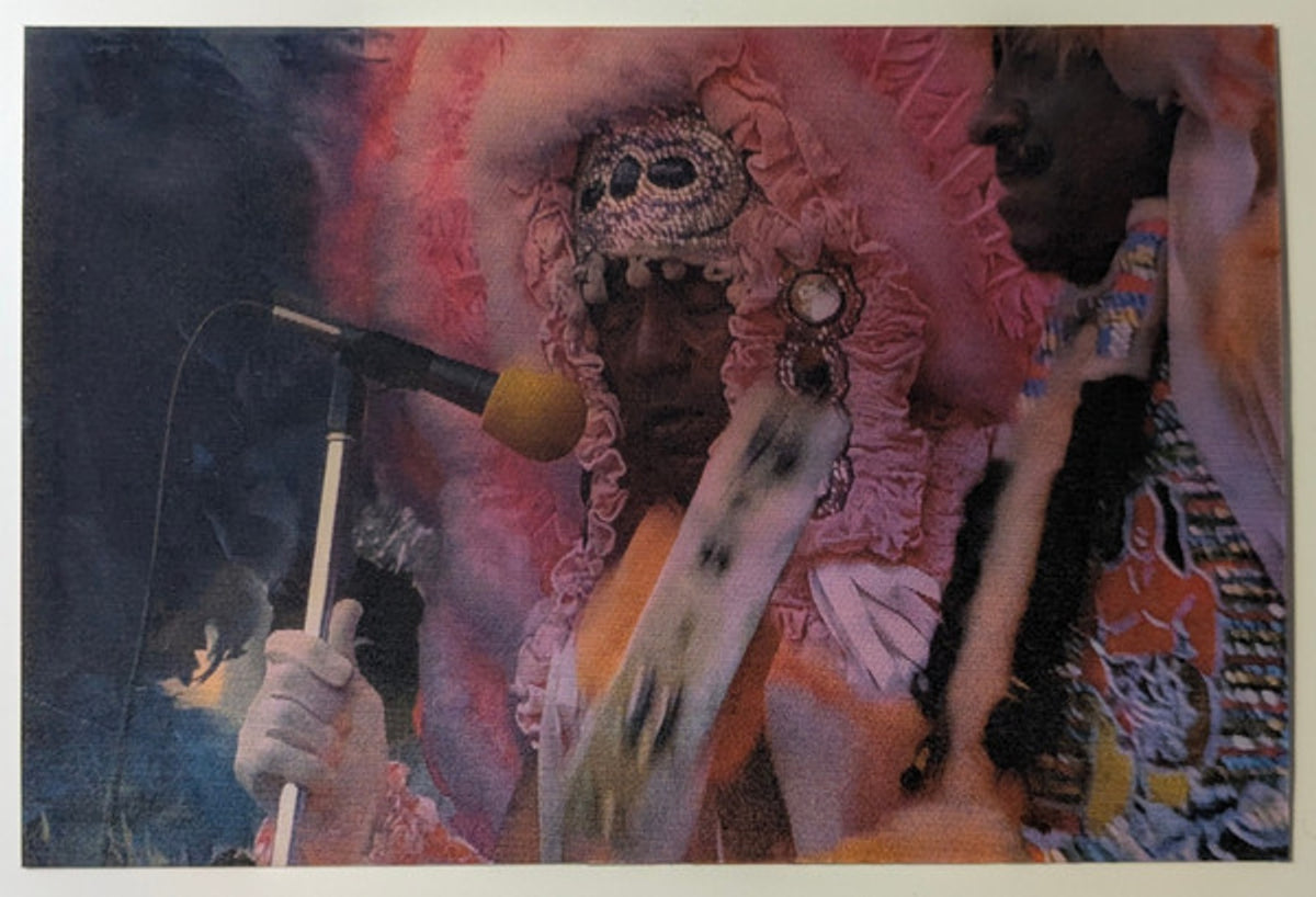Wild Tchoupitoulas / The Neville Brothers – New Orleans 77 (LP Vinyl)