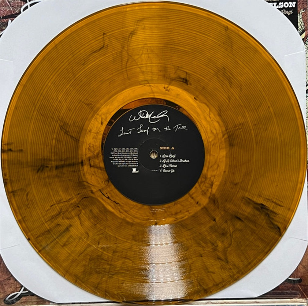 Willie Nelson – Last Leaf On The Tree (Amber Fossil Colored 2-LP Vinyl) - Alternate View