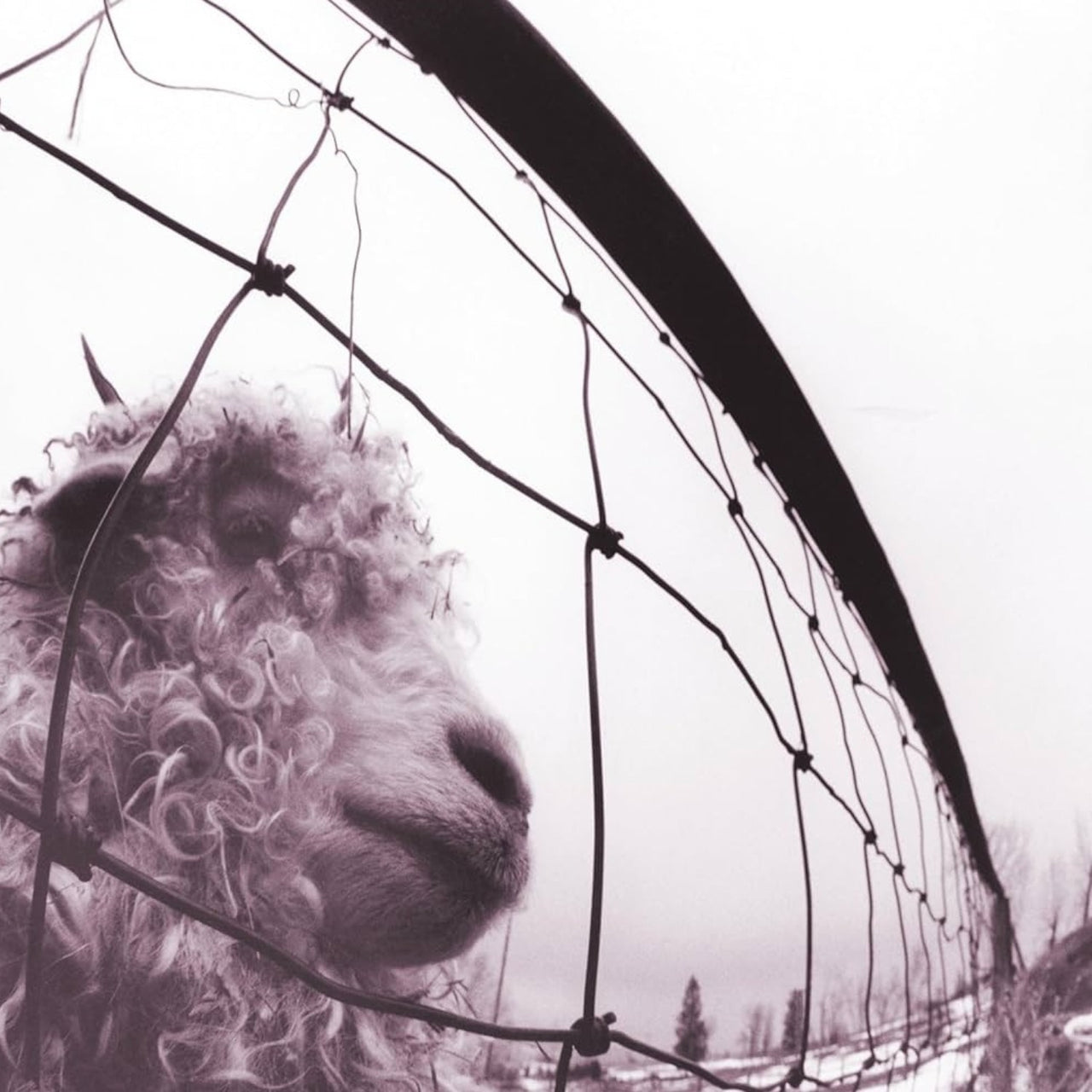 Pearl Jam - Vs. 30th Anniversary Edition (2-LP Vinyl)