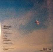 Yo La Tengo – Electr-O-Pura (2-LP Vinyl)