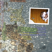 Yo La Tengo – I Am Not Afraid of You and I Will Beat Your Ass (2-LP Vinyl)