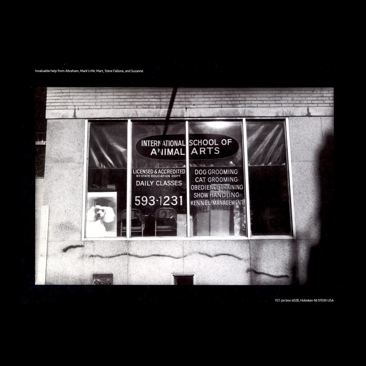 Yo La Tengo – This Stupid World (2-LP Blue Vinyl)