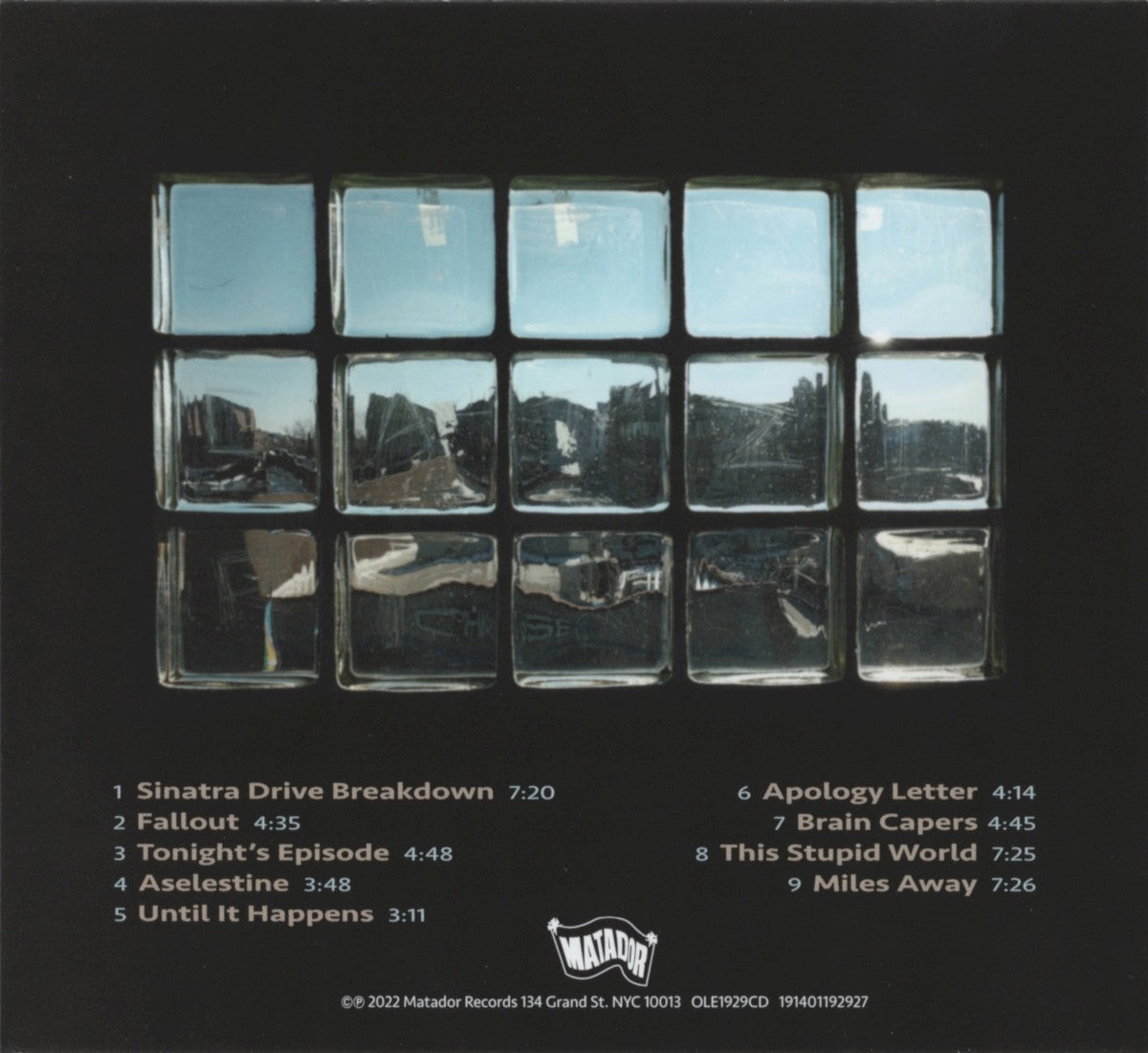 Yo La Tengo – This Stupid World (CD)