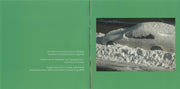 Yo La Tengo – This Stupid World (CD)