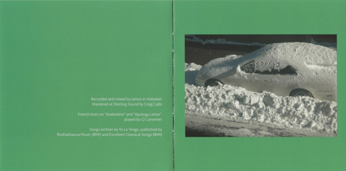 Yo La Tengo – This Stupid World (CD)