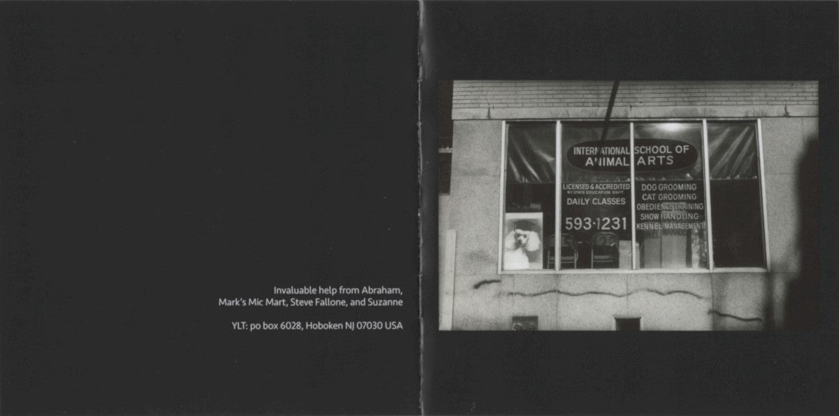 Yo La Tengo – This Stupid World (CD)