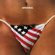 The Black Crowes – Amorica. -  (CD) - Back