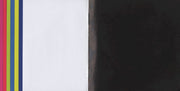 Back Cover 2: Jamie xx – In Colour CD | Relix