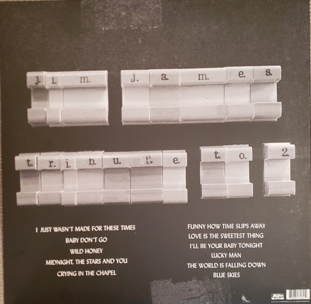 Back Cover 2: Jim James – Tribute To 2 Vinyl LP | Relix