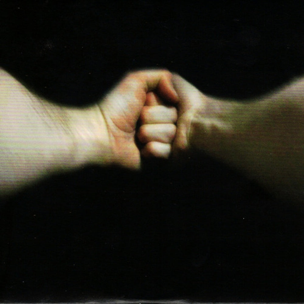 Back Cover 2: Mountain Goats – Sunset Tree (Aniv, Remastered CD) CD | Relix