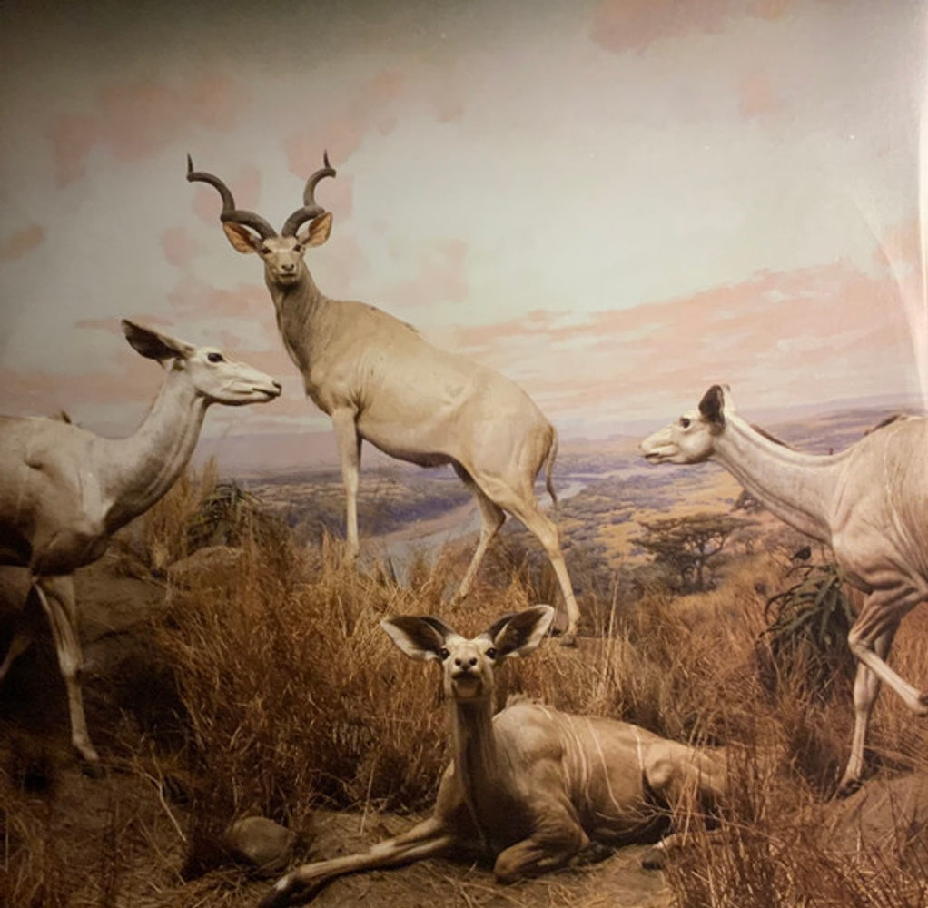 Back Cover 3: Interpol – Our Love To Admire Vinyl LP | Relix