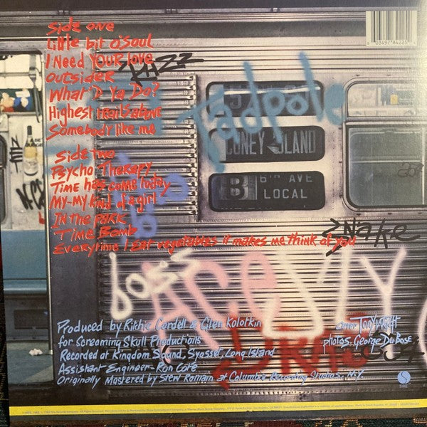Back Cover 4: Ramones – The Sire Albums (1981-1989, RSD 2022 LP Vinyl) Vinyl LP | Relix