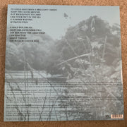 Back Cover: Belle And Sebastian – The Boy With The Arab Strap (Clear Blue LP Vinyl) Vinyl LP | Relix