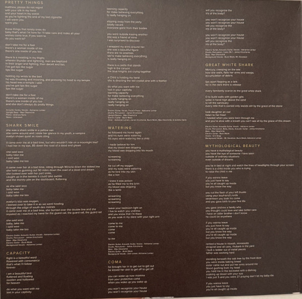Back Cover: Big Thief – Capacity Vinyl LP | Relix