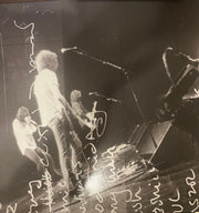 Back Cover: Black Crowes – Black Crowes Live (Blue, Colored, Limited Edition, Red, Wht LP Vinyl) Vinyl LP | Relix