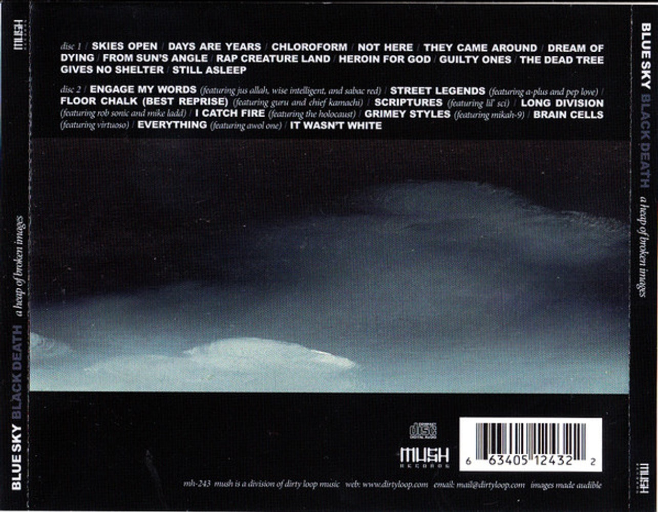 Back Cover: Blue Sky Black Death – A Heap of Broken Images Vinyl LP | Relix