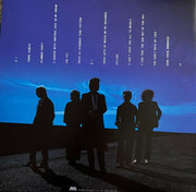 Back Cover: Brigitte Calls Me Baby – Irreversible (White LP Vinyl) Vinyl LP | Relix