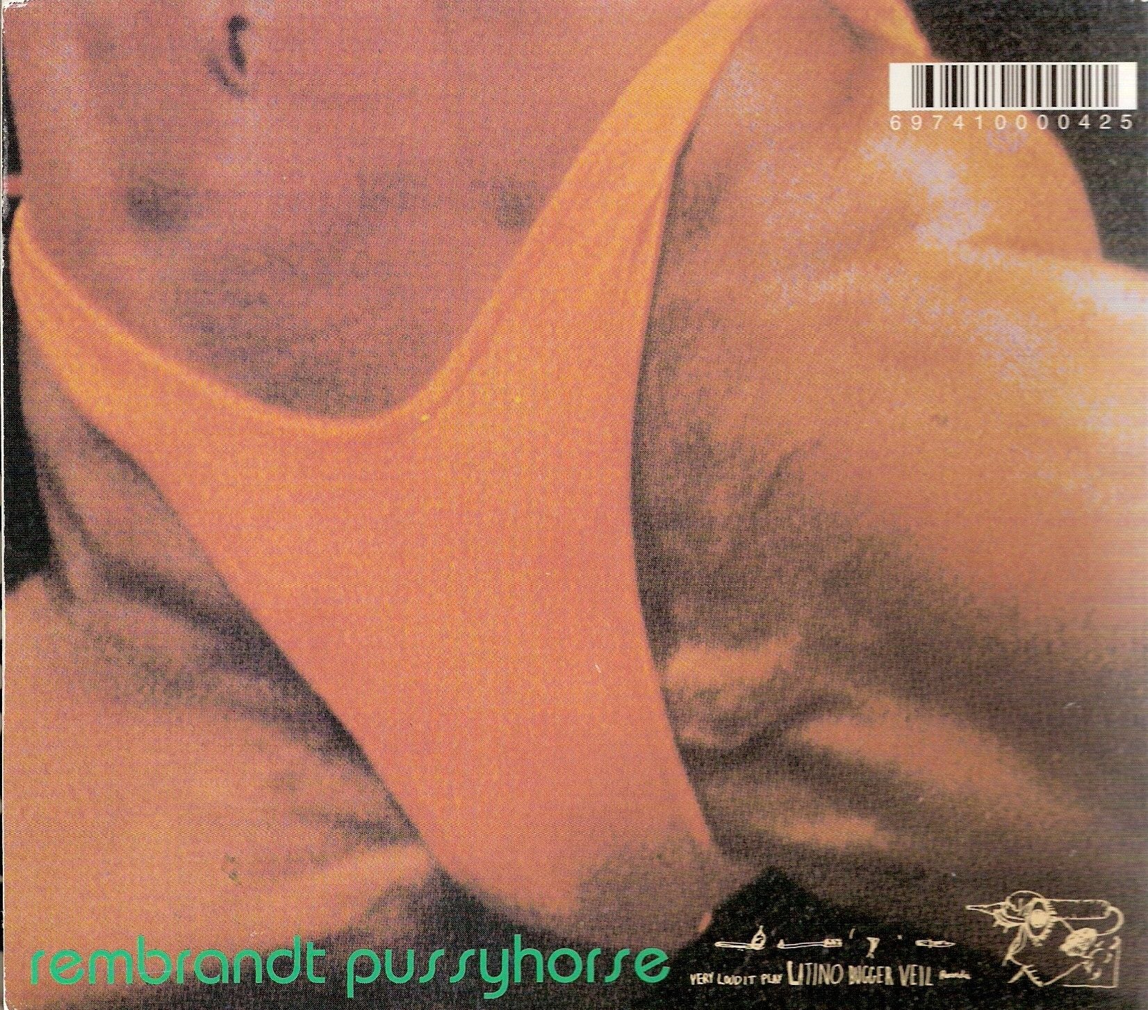 Back Cover: Butthole Surfers – Rembrandt Pussyhorse Vinyl LP | Relix