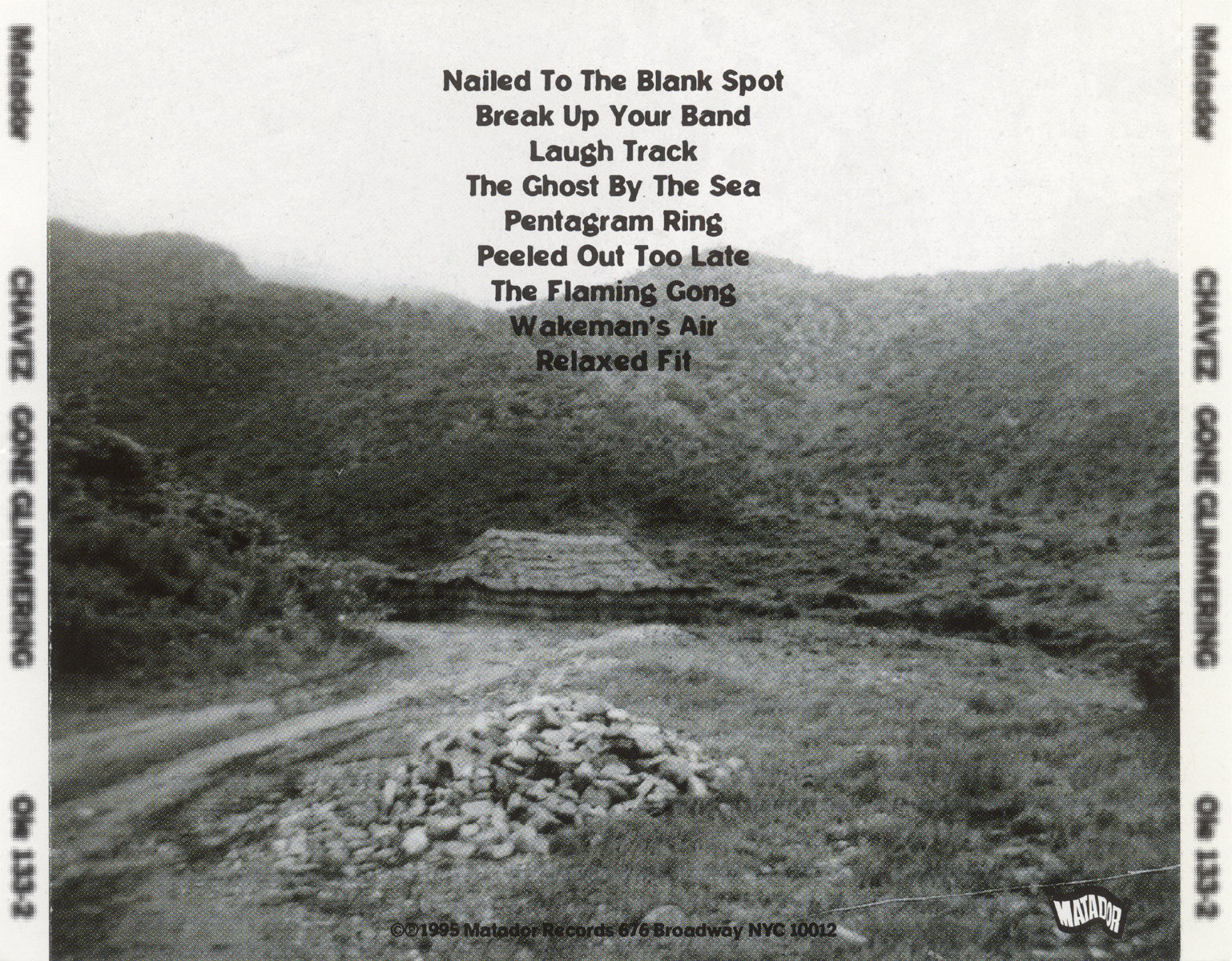 Back Cover: Chavez – Gone Glimmering Vinyl LP | Relix