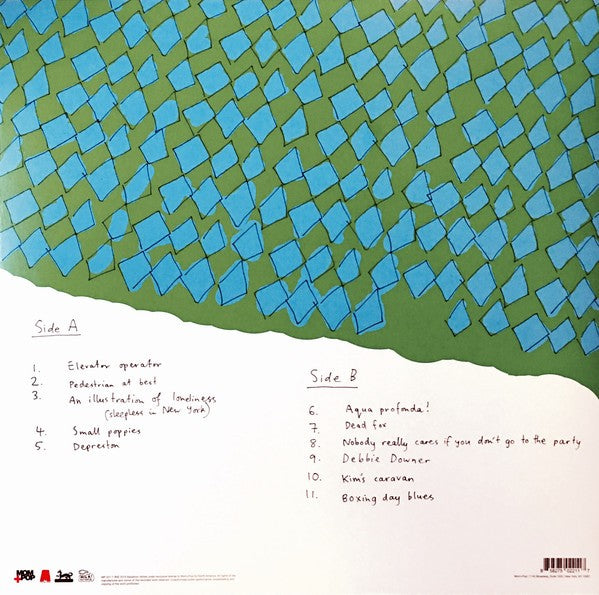 Back Cover: Courtney Barnett – Sometimes I Sit And Think, And Sometimes I Just Sit Vinyl LP | Relix