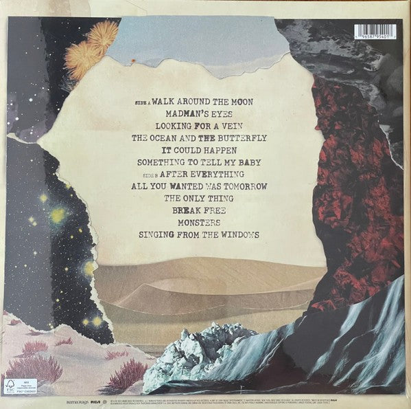 Back Cover: Dave Matthews Band – Walk Around The Moon Vinyl LP | Relix