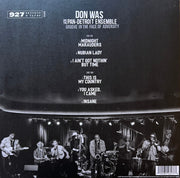 Back Cover: Don Was – Groove In The Face Of Adversity Vinyl LP | Relix