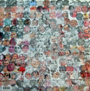 Back Cover: Guided By Voices – Mag Earwhig! Vinyl LP | Relix