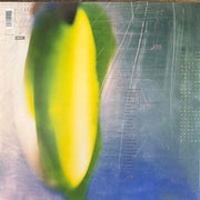 Back Cover: His Name Is Alive – Home Is In Your Head Vinyl LP | Relix