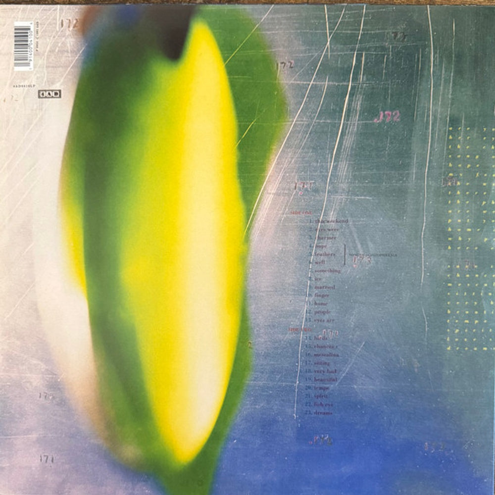 Back Cover: His Name Is Alive – Home Is In Your Head Vinyl LP | Relix
