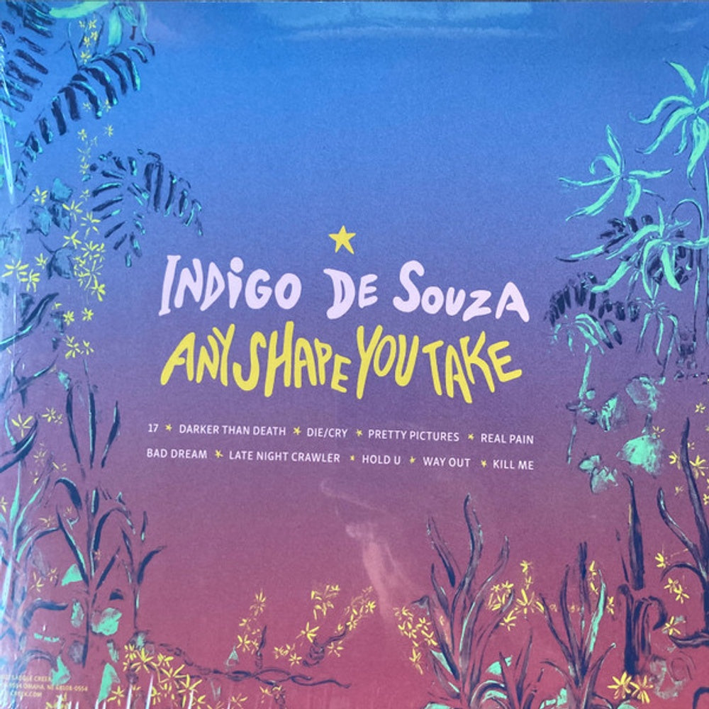 Back Cover: Indigo de Souza – Any Shape You Take (Shopping Cart Yellow LP Vinyl) Vinyl LP | Relix