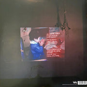 Back Cover: Lucy Dacus – Home Video Vinyl LP | Relix